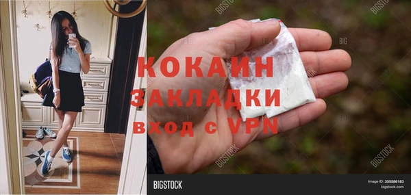 гидра Няндома