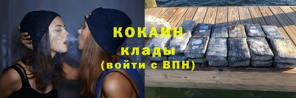 Альфа ПВП Новозыбков