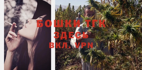 Альфа ПВП Новозыбков