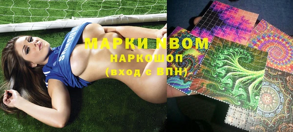 Альфа ПВП Новозыбков