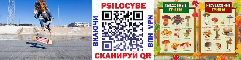 Псилоцибиновые грибы GOLDEN TEACHER  дарнет шоп  Осинники 